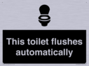 this-toilet-flushes-automatically~